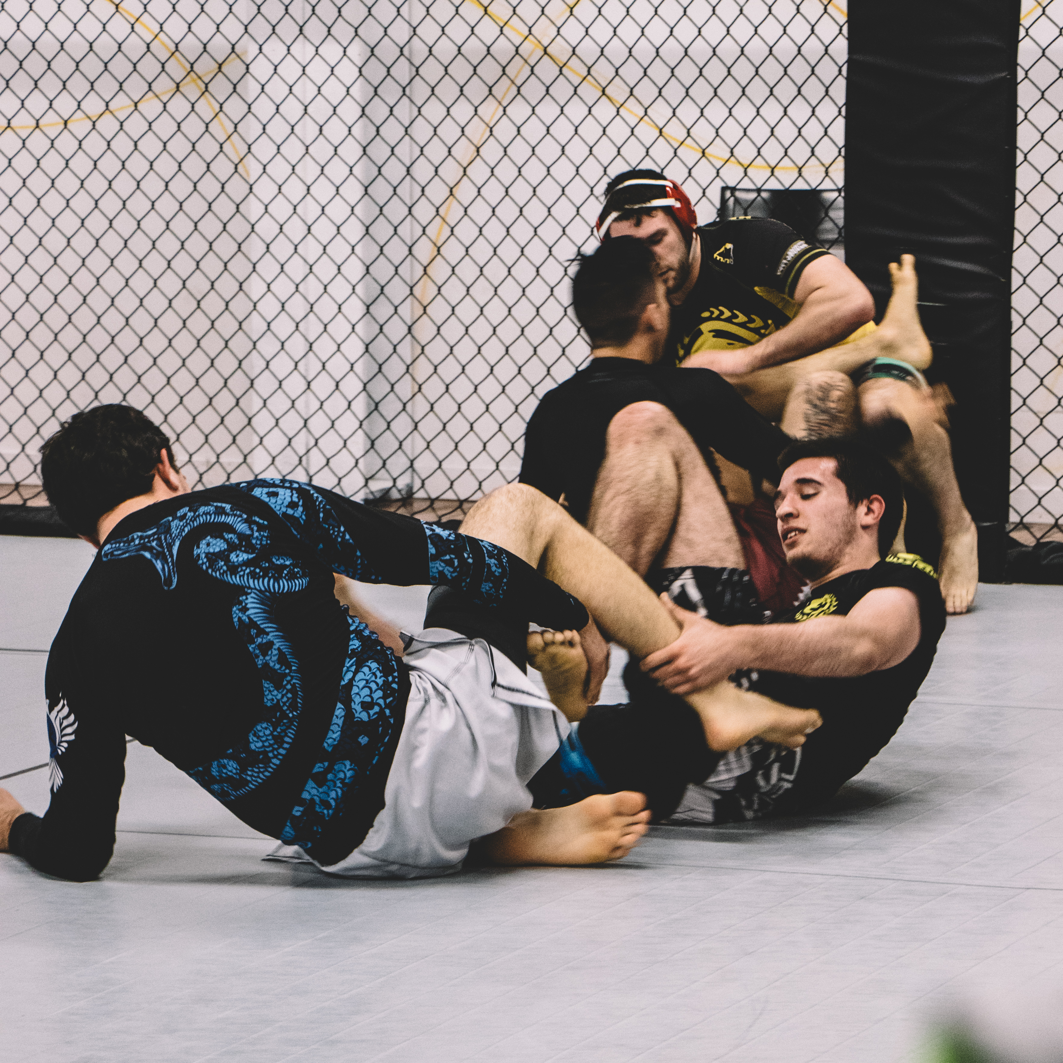 Feel Like You Aren’t Improving in BJJ ? Some Practical Tips to Accelerate Progress