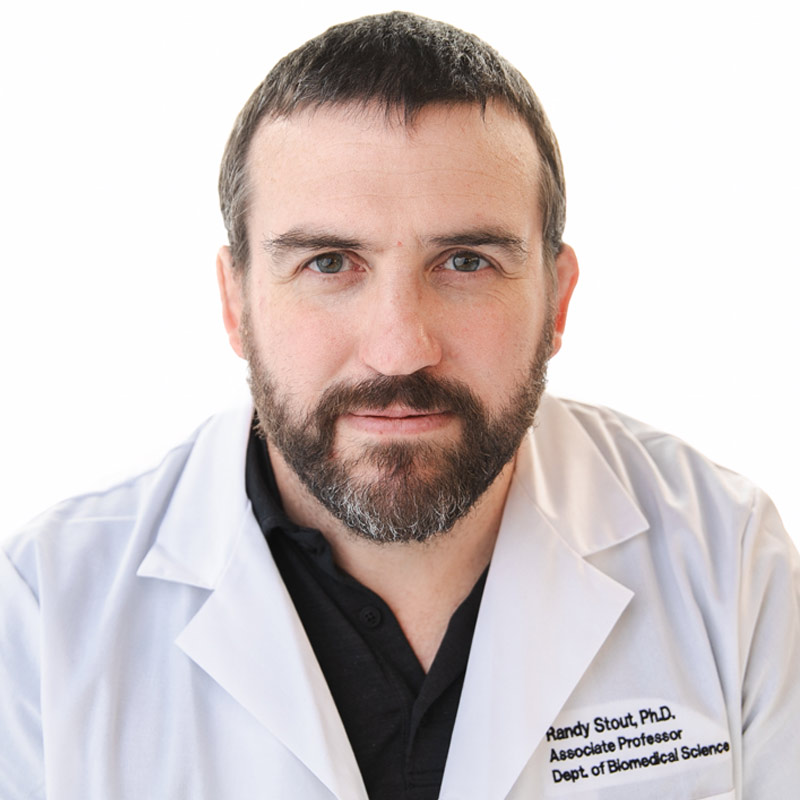 Neuroscientist, researcher Randy Stout, how learning works and how to do it better